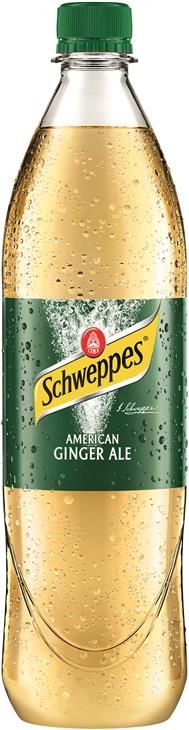 Schweppes Ginger Ale 6x1,0 L